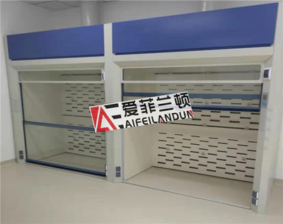 AF-BL-2A不锈钢喷砂排毒通风柜